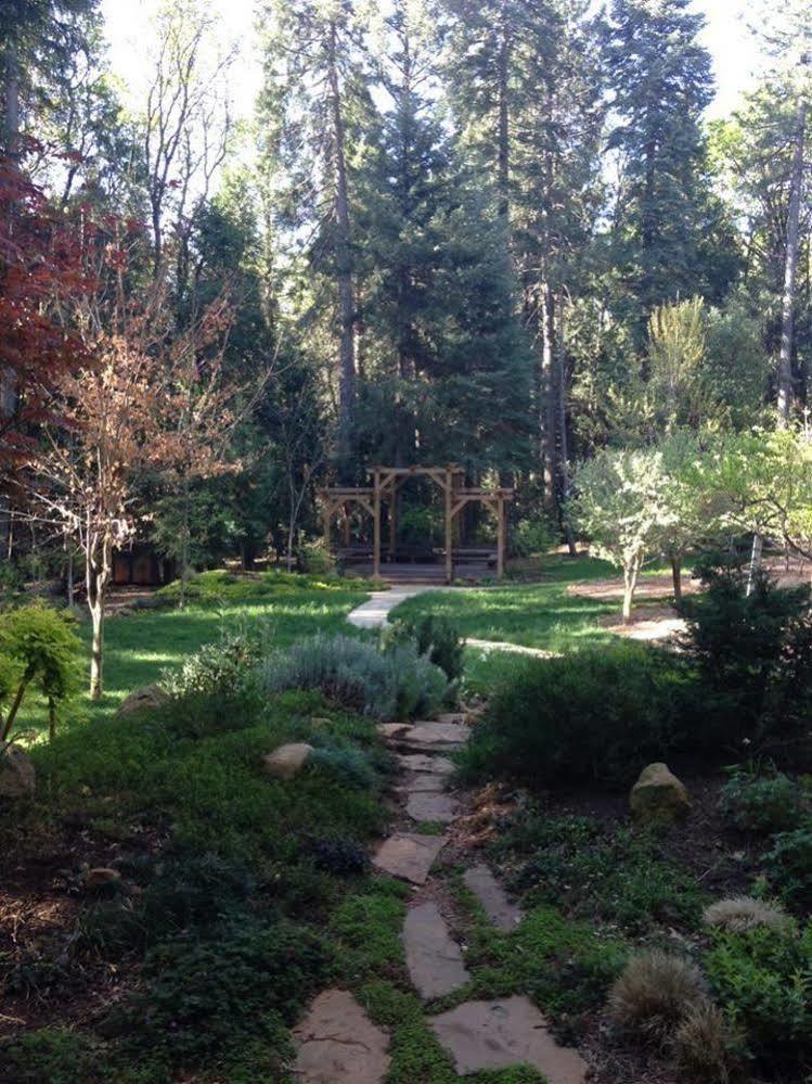 Harmony Ridge Lodge Nevada City Exterior foto