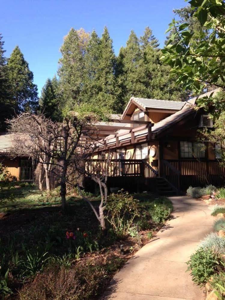 Harmony Ridge Lodge Nevada City Exterior foto